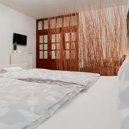 Vinceller Apartamento